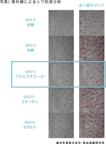 写真) 紫外線によるシワ形成分析