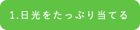 1.日光をたっぷり当てる