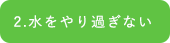 2.水をやり過ぎない