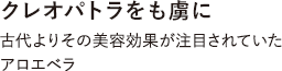 クレオパトラをも虜に 古代より美容効果が注目されていたアロエベラ