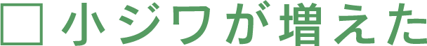 小ジワが増えた