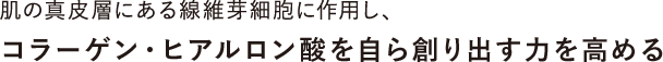 肌の真皮層にある線維芽細胞に作用し、コラーゲン・ヒアルロン酸を自ら創り出す力を高める