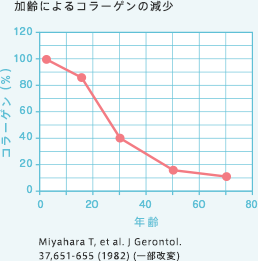 加齢によるコラーゲンの減少