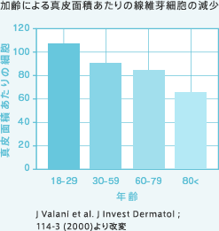 加齢による真皮面積あたりの線維芽細胞の減少