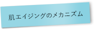 肌エイジングのメカニズム