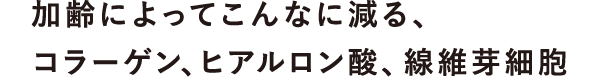 加齢によってこんなに減る、コラーゲン、ヒアルロン酸、線維芽細胞