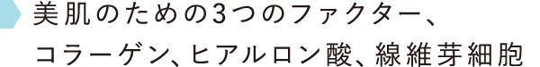 美肌のための3つのファクター、コラーゲン、ヒアルロン酸、線維芽細胞