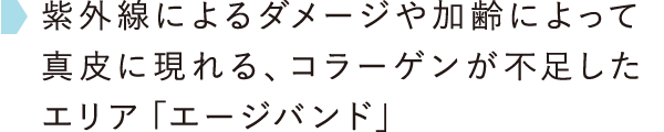 紫外線によるダメージや加齢によって真皮に現れる、コラーゲンが不足したエリア「エージバンド」