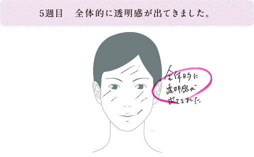 5週目 全体的に透明感が出てきました。