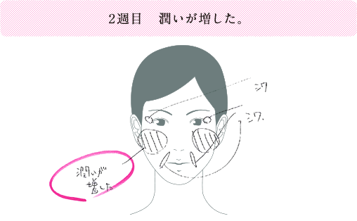 2週目 潤いが増した。