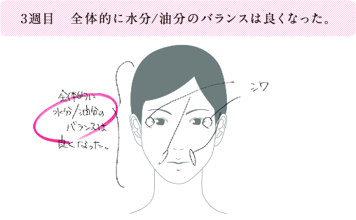 3週目 全体的に水分・油分のバランスは良くなった。