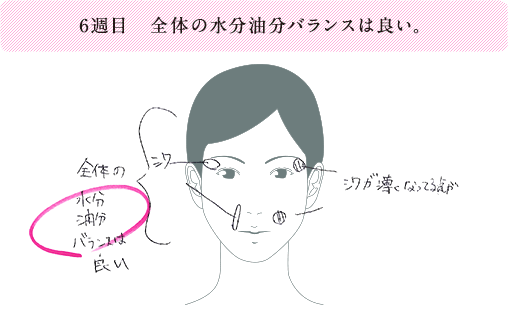 6週目 全体の水分油分のバランスは良い