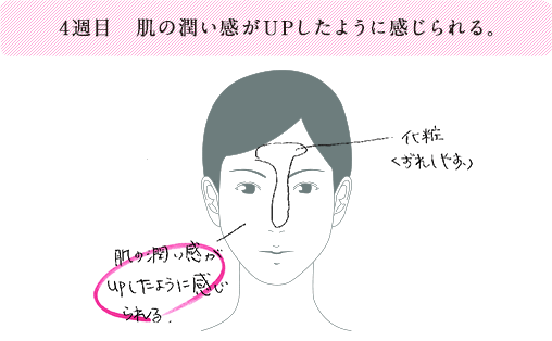 4週目 肌の潤い感がUPしたように感じられる。