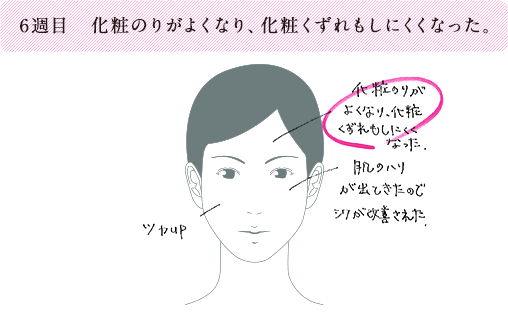 6週目 化粧のりがよくなり、化粧くずれもしにくくなった。